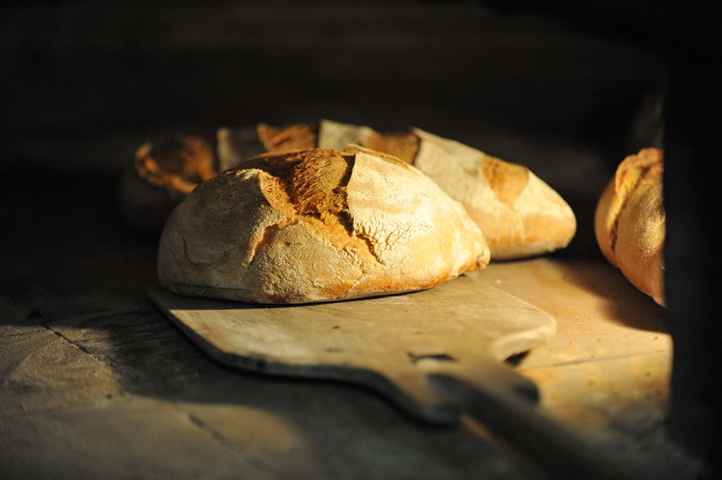 Atelier pain au levain ⎪ 14-10/23 ⎪ 7h30 à 15h