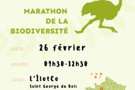 Marathon de la Biod'hiver.sité ⎪ 26-02/23 ⎪ 9h30-12h30