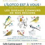 L’îlotCo est à vous : Les oiseaux commun avec la LPO ⎪ 23-02/24 ⎪ 20h-21h30 🗓